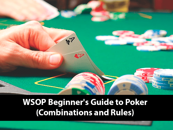WSOP — Beginner's Guide to Poker and Rules)